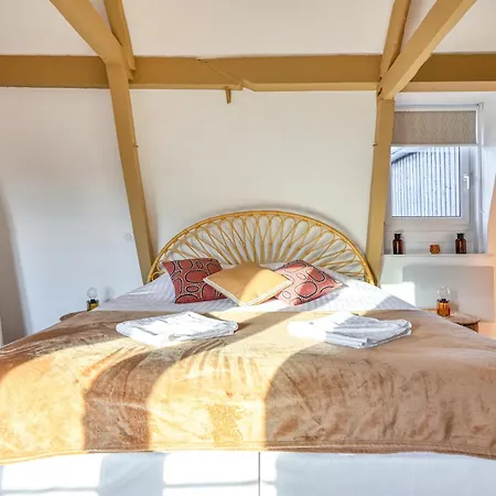 Incroyable Villa 5 Etoiles 7 Minutes Du Centre De Lille Villa *