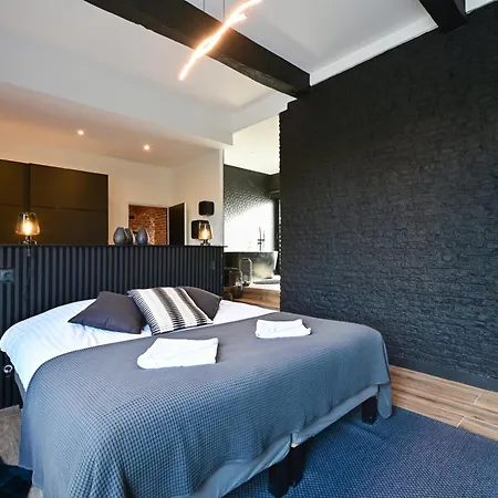 Incroyable Villa 5 Etoiles 7 Minutes Du Centre De Lille * Marcq-en-Baroeul