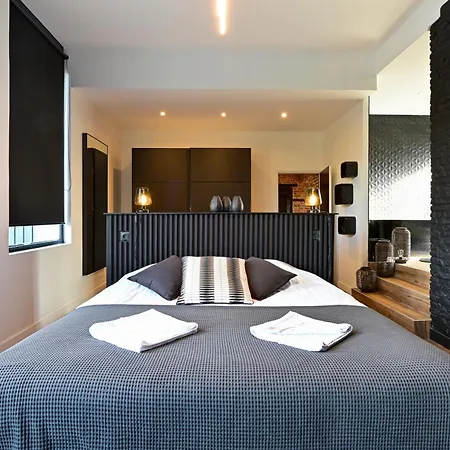 Incroyable Villa 5 Etoiles 7 Minutes Du Centre De Lille Villa Marcq-en-Baroeul