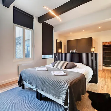 Incroyable Villa 5 Etoiles 7 Minutes Du Centre De Lille *